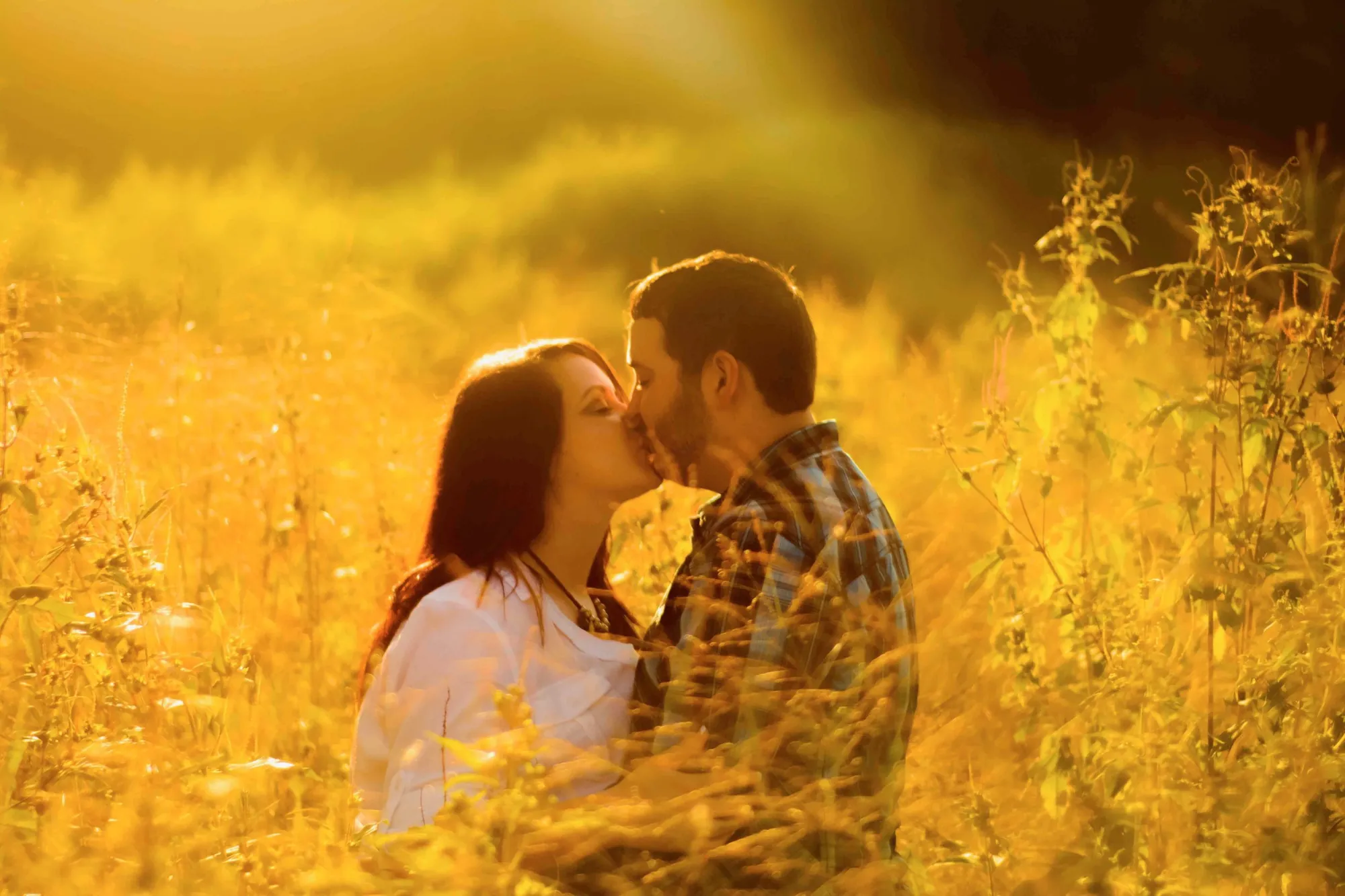Engagement photos in the Cedar Valley, a kiss in a golden summer field