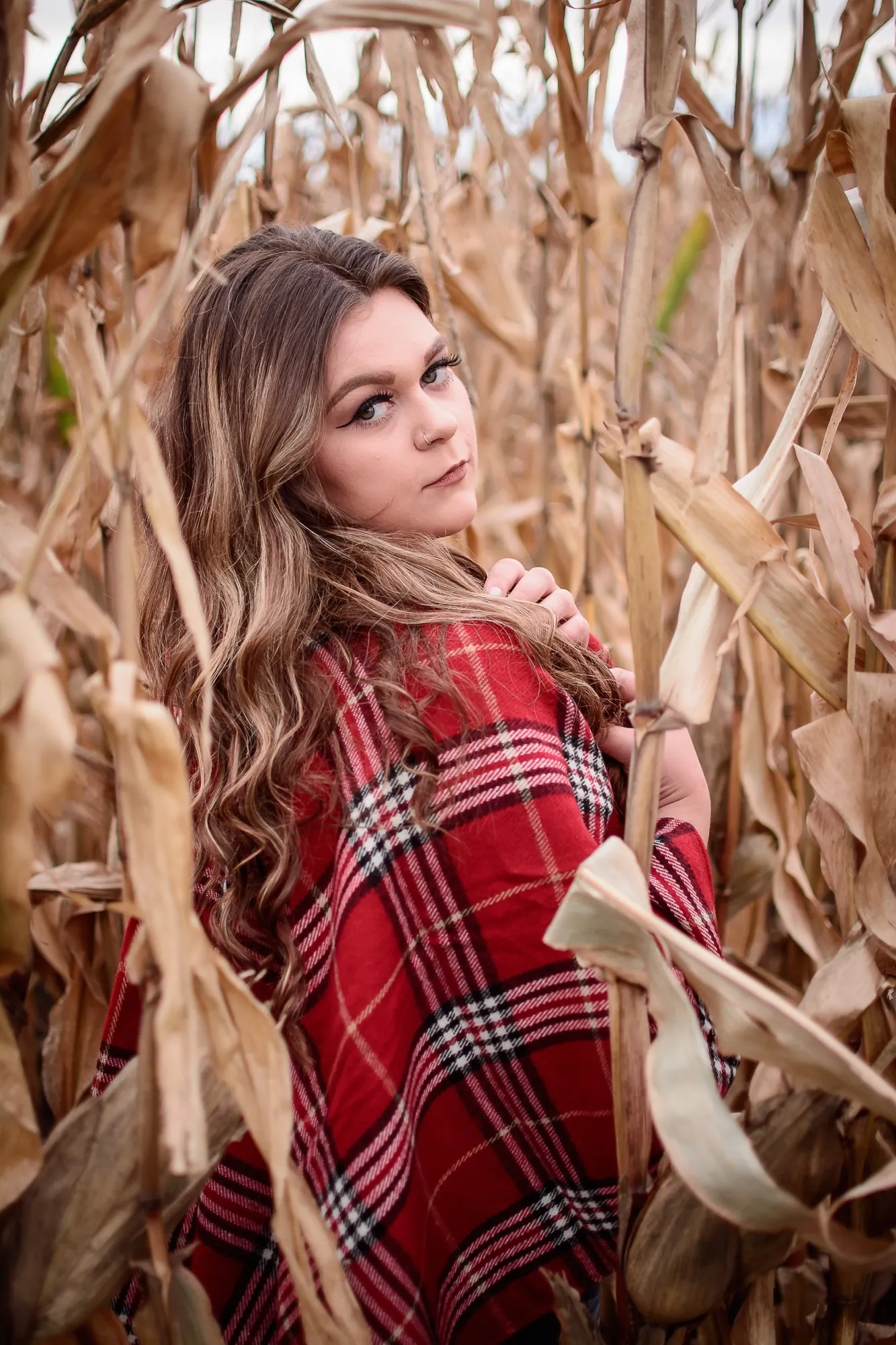 Fall senior pictures in the Cedar Valley in a corn field.