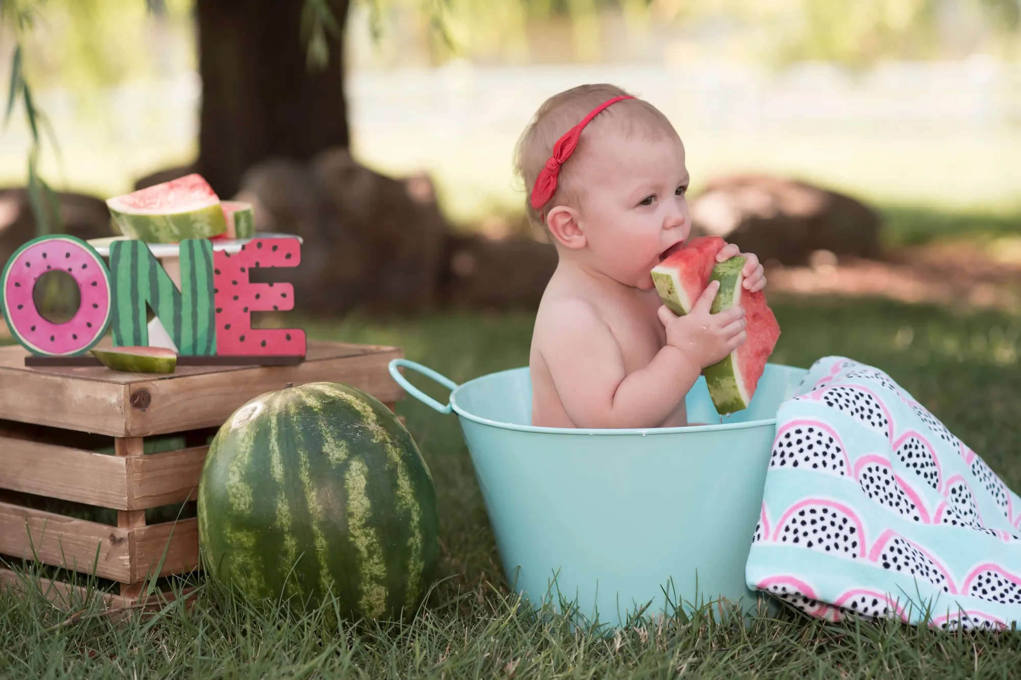 First birthday photos in the Cedar Valley, watermelon theme outdoors