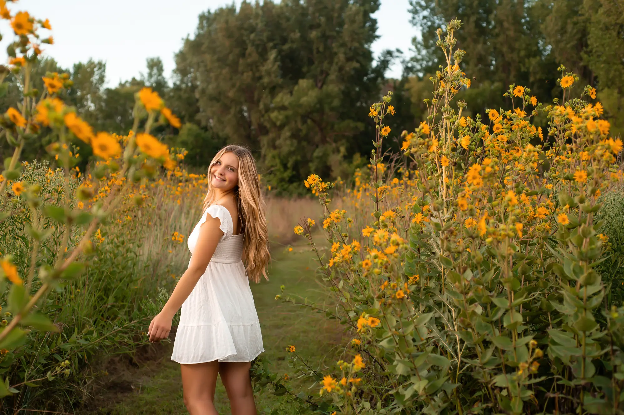 Summer senior pictures in the Cedar Valley, white dress on a wildflower path