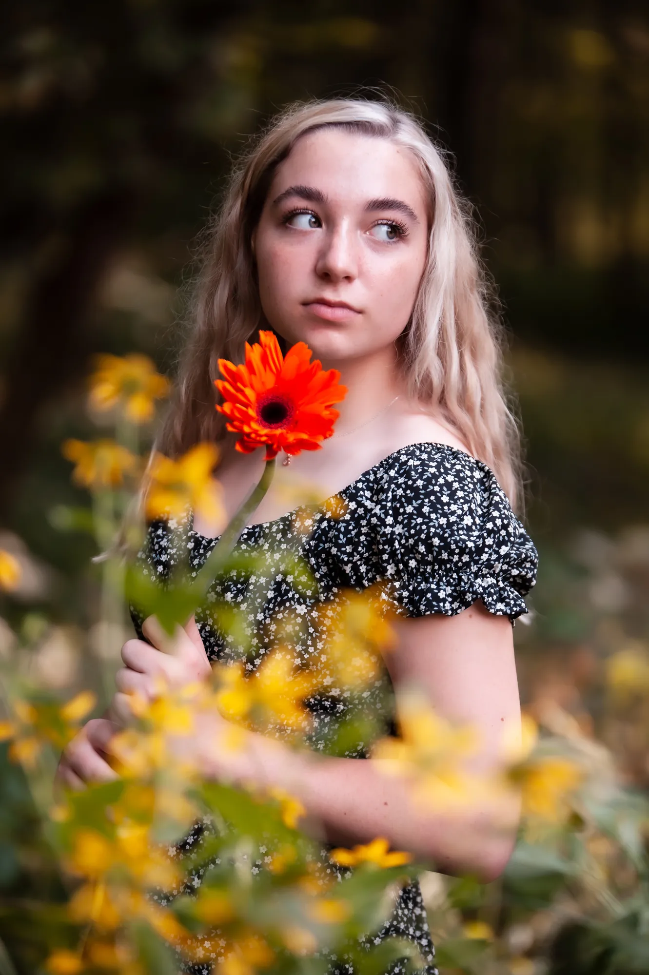 Senior pictures in the Cedar Valley, holding an orange daisy among wildflowers